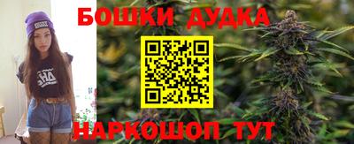 a pvp Дубна