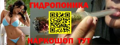 a pvp Дубна