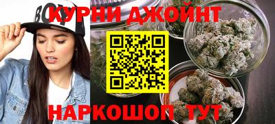 a pvp Дубна