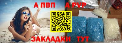 гашик Донской