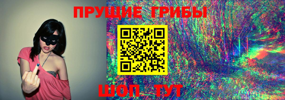 Людиново  Псилоцибиновые грибы MAGIC MUSHROOMS  Вход с VPN 
