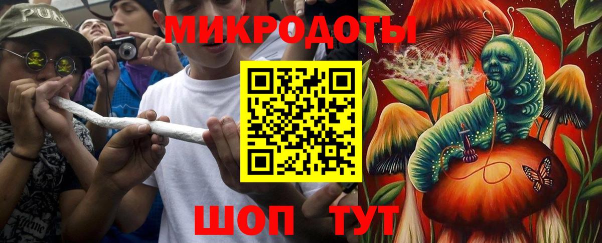 Галлюциногенные грибы Psilocybine cubensis Людиново