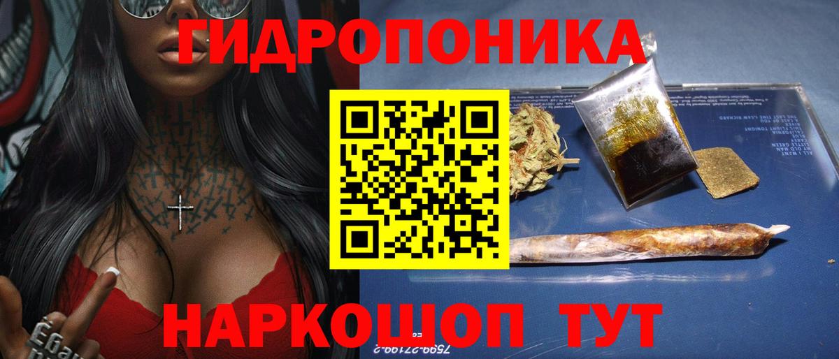 Бошки Шишки планчик Людиново